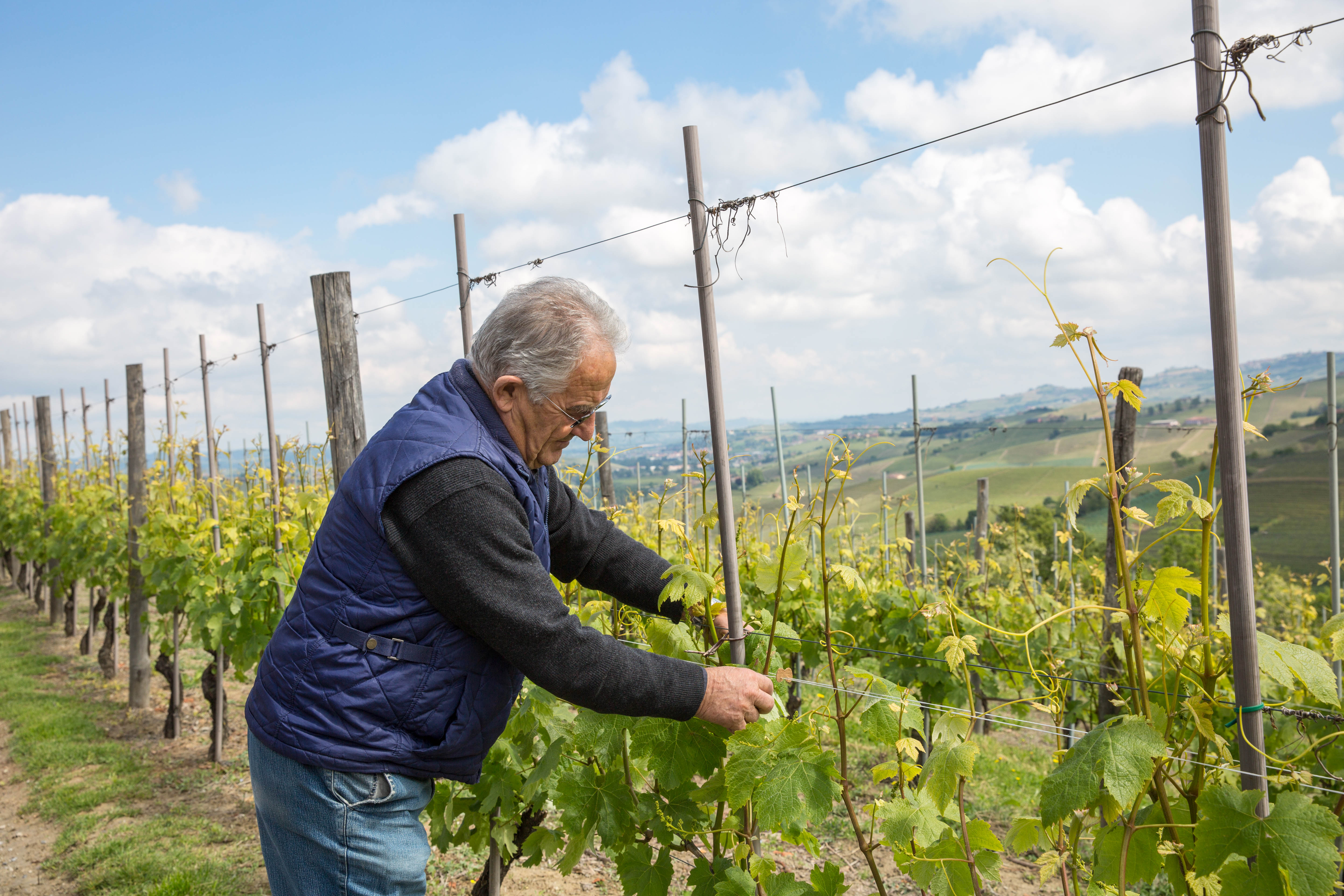 foto produzione